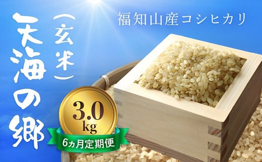 【令和6年産新米】【6ヵ月定期便】京都福知山産コシヒカリ『天海の郷』3kg（玄米）天空に広がる天海の郷 / ふるさと納税 こめ コメ 米 コシヒカリ こしひかり 玄米 定期 6カ月 おいしい 美味しい 美容 健康 天空 雲海 天海の郷 京都府 福知山市 FCCM034