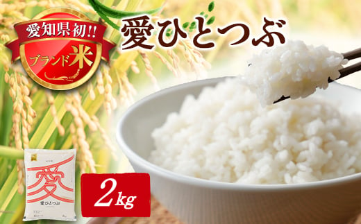 令和6年産 愛知県産 ブランド米 愛ひとつぶ 2kg　パールライス 安城工場精米【1469575】 1151701 - 愛知県安城市