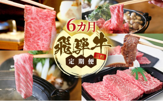 飛騨牛 A5 大満足 飛騨牛三昧  6か月 定期便 ステーキ すき焼き 焼肉[№5787-1083]