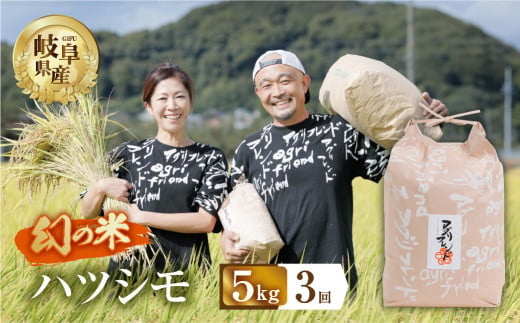 【 3回 定期便 】 令和6年産 ハツシモ 5kg × 3回 3か月 米 こめ ごはん 白米 岐阜県産 本巣市 お米 精米 甘い 和食 寿司 アグリフレンドホリグチ