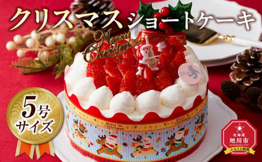 【先行予約】【2024年12月23日お届け】 クリスマスショートケーキ 5号サイズ_04255  【 クリスマス ケーキ 菓子 お菓子 おかし スイーツ デザート 洋菓子 旭川 北海道 送料無料 おすすめ 人気 食品 】 1497208 - 北海道旭川市