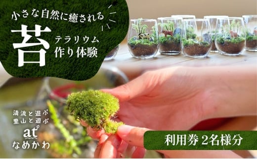 小さな自然に癒される【苔テラリウム作り体験】利用券 - 高知県本山町｜ふるさとチョイス - ふるさと納税サイト