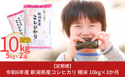 [定期便10kg×3ヶ月] 令和6年産 新潟県産コシヒカリ（こしひかり）計30kg 3か月（3ヵ月）連続でお届け [株式会社白熊]【038S004】 868249 - 新潟県三条市