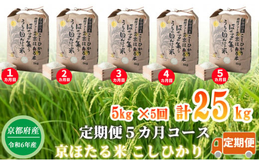 【新米】【定期便5カ月コース】京都丹波産こしひかり 西村ファームの京ほたる米 5kg×5回計25kg[髙島屋選定品］076N634  1228973 - 京都府南丹市