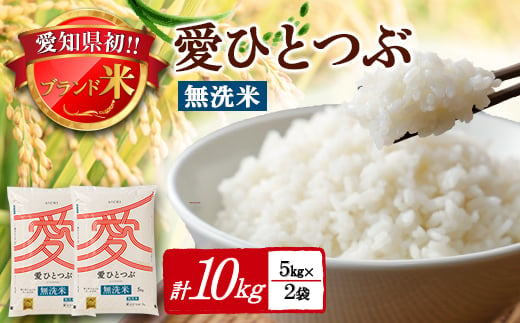 令和6年産愛知県産 ブランド米 無洗米愛ひとつぶ 5kg×2袋計10kg　パールライス 安城工場精米【1469578】 1151704 - 愛知県安城市