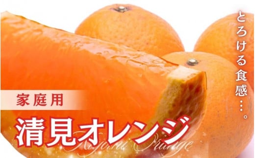 [2月より発送]家庭用 清見オレンジ3.5kg+105g(傷み保証分)[光センサー食頃出荷][樹上完熟きよみオレンジ・清見タンゴール・清美][わけあり・訳あり]※北海道・沖縄・離島への配送不可[ikd199]