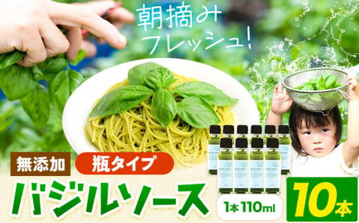 バジルソース 無添加 バジル 瓶 10本 (1本110ml) Farm＆lab《30日以内に出荷予定(土日祝除く)》和歌山県 日高町 送料無料 朝摘み バジル ソース 新鮮 フレッシュ 調味料