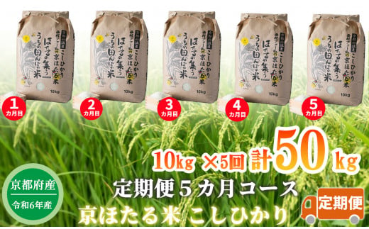 【新米】【定期便5カ月コース】京都丹波産こしひかり 西村ファームの京ほたる米 10kg×5回計50kg[髙島屋選定品］120N635 1228974 - 京都府南丹市