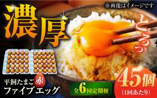 【6回定期便】【箱入り】平飼たまご ファイブエッグ M～Lサイズ 45個 / 5EGG 卵 赤玉子 五島市 / 五島列島大石養鶏場 [PFQ043] 玉子 タマゴ 鶏卵 希少 五島列島