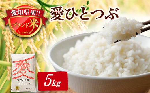 令和6年産 愛知県産 ブランド米 愛ひとつぶ 5kg　パールライス 安城工場精米【1469577】 1151703 - 愛知県安城市