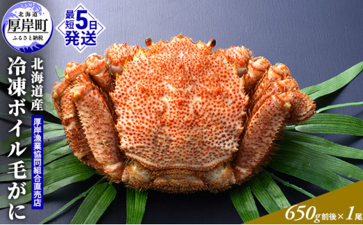 【3D冷凍】北海道産 冷凍ボイル毛がに 650g前後×1尾 毛カニ 蟹 毛ガニ カニ かに  [№5863-0598]