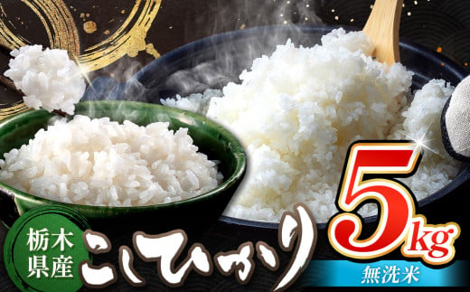 栃木県産 コシヒカリ 無洗米 5kg | お米 こめ ご飯 ごはん おにぎり おむすび 米 送料無料 定期便 単品 こしひかり 栃木県 銘柄米 ブランド米 栃木県共通返礼品 1498234 - 栃木県真岡市