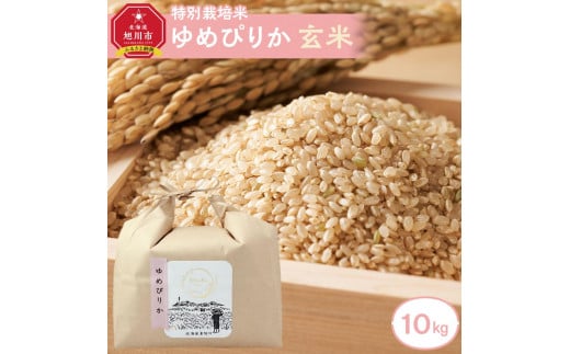 特別栽培米 ゆめぴりか玄米 10kg 令和6年産 新米_03195 【 白米 ご飯 ごはん 米 お米 北海道産 旬 特A 旭川市 北海道 送料無料 】  - 北海道旭川市｜ふるさとチョイス - ふるさと納税サイト