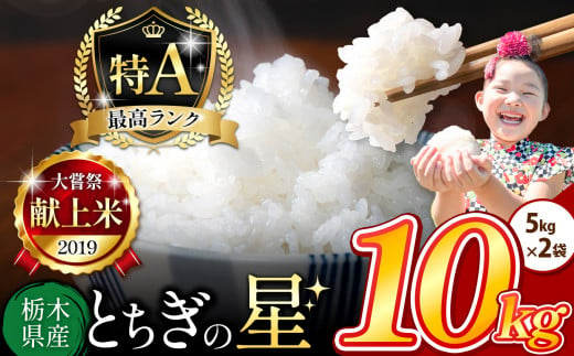 栃木県産 とちぎの星 白米 10kg |  お米 米 こめ おにぎり ごはん ご飯 令和6年産 栃木県 真岡市 ブランド米 栃木県共通返礼品 1498239 - 栃木県真岡市