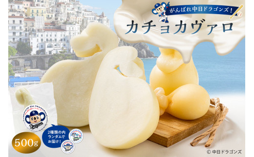 がんばれ中日ドラゴンズ！カチョカヴァロ500g【中日ドラゴンズコラボ】【 岐阜県 可児市 チーズ 乳製品 ミルク マイルド コク 熟成 セミハードタイプ 南イタリア原産 お取り寄せ グルメ 】