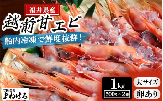 大好評！天然 越前甘エビ（卵あり）大サイズ 計約1kg（約500g × 2箱）（合計約60尾入り） 解凍方法説明書付き 船内凍結 酸化防止剤不使用！ 甘エビ本来の味をお楽しみください 【えび エビ 海老 甘エビ 甘えび 子持ち 海鮮 お刺身 おせち 無添加 福井県産 国産】[m17-c014] 883542 - 福井県美浜町