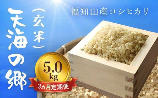 【令和6年産新米】【3ヵ月定期便】京都福知山産コシヒカリ『天海の郷』5kg（玄米）天空に広がる天海の郷 / ふるさと納税 こめ コメ 米 コシヒカリ こしひかり 玄米 定期 3カ月 おいしい 美味しい 美容 健康 天空 雲海 天海の郷 京都府 福知山市 FCCM036