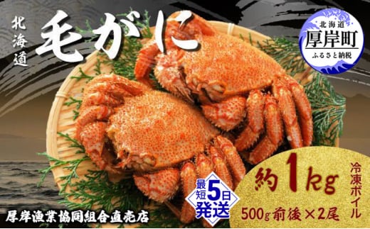 【3D冷凍】 北海道産 冷凍 ボイル 毛がに 500g前後×2尾 (合計1kg前後) 毛カニ 蟹 冷凍ボイル毛がに 毛ガニ カニ かに  [№5863-0597]