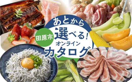 ＼50品から選べる／ 田原市　あとから選べる！オンラインカタログ 地鶏 名古屋コーチン 牛肉 肉 国産牛 田原ポーク 豚肉 いちご メロン 選べる しらす うなぎ カタログ 定期便 特産品 グルメ 田原市