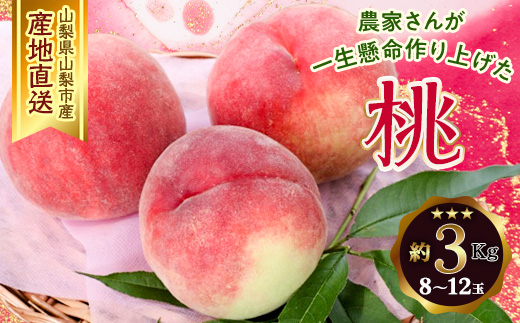 ＜ふるさと納税＞ 山梨県山梨市産 桃 約3kg(8～12玉)【1284007】 337702 - 山梨県山梨市