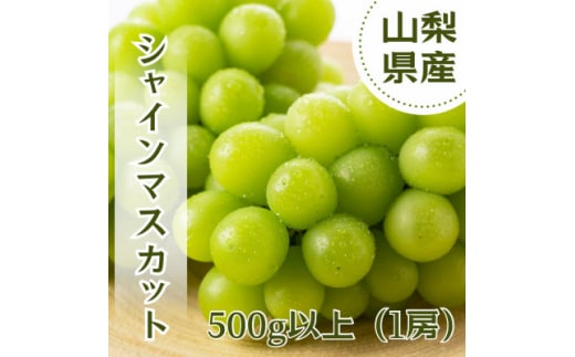 やみつきシャインマスカット 500g以上(1房)【1551175】 1498407 - 山梨県山梨市