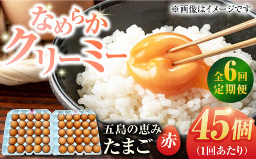 【全6回定期便】【お得な箱入り】五島の恵みたまご M〜Lサイズ 45個入 / 卵 赤玉子 五島市 / 五島列島大石養鶏場 [PFQ049] 1355319 - 長崎県五島市