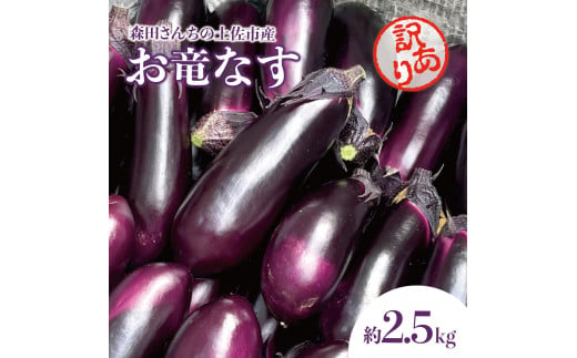 森田さんちの土佐市産お竜なす 訳あり 約2.5kg 2.5キロ 29~34本 1本約80g 茄子 ナス なすび 野菜 新鮮 焼き茄子 煮浸し 漬物 浅漬け ぬか漬け 味噌汁 おかず 訳アリ ご自宅用