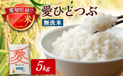 令和6年産　愛知県産 ブランド米 無洗米　愛ひとつぶ 5kg　パールライス 安城工場精米【1469576】 1151702 - 愛知県安城市