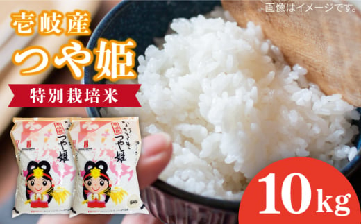 壱岐産 つや姫 10kg 《壱岐市》【壱岐市農業協同組合】 米 お米 ご飯 お弁当 常温発送 [JBO143] 1497180 - 長崎県壱岐市