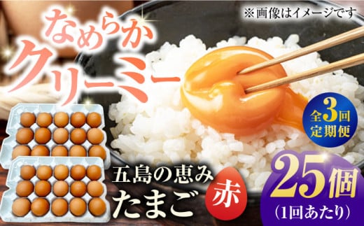 【3回定期便】【お得な箱入り】五島の恵みたまご M〜Lサイズ 25個入 / 卵 赤玉子 五島市 / 五島列島大石養鶏場 [PFQ045] 1355315 - 長崎県五島市