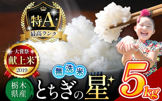 栃木県産 とちぎの星 無洗米 5kg |  お米 米 こめ おにぎり ごはん ご飯 令和6年産 栃木県 真岡市 ブランド米 栃木県共通返礼品 1498241 - 栃木県真岡市