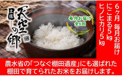 農林水産省の「つなぐ棚田遺産」に選ばれた棚田で育てられた 棚田米 土佐天空の郷 5kg食べくらべセット定期便 毎月お届け 全6回