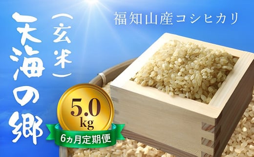 【令和6年産新米】【6ヵ月定期便】京都福知山産コシヒカリ『天海の郷』5kg（玄米）天空に広がる天海の郷 / ふるさと納税 こめ コメ 米 コシヒカリ こしひかり 玄米 定期 6カ月 おいしい 美味しい 美容 健康 天空 雲海 天海の郷 京都府 福知山市 FCCM037