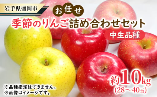 【大櫻農園】盛岡 りんご 中生 「お任せ 季節のりんご詰め合わせ」約10kg（28～40玉） 1500024 - 岩手県盛岡市