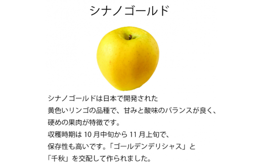  【 10月下旬から順次発送 】訳アリ　シナノゴールド　5㎏　（14～18玉）｜  シナノゴールド 林檎 りんご 長野県 松本市 果物 フルーツ ふるさと納税 1509024 - 長野県松本市