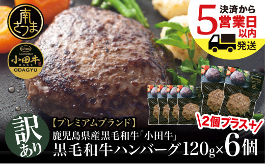 [10/20受付終了] 訳あり 鹿児島県産黒毛和牛「小田牛」 牛肉100% ハンバーグステーキ 6個(120g×6) 牛肉 総菜 黒毛和牛 小田畜産 冷凍 南さつま市