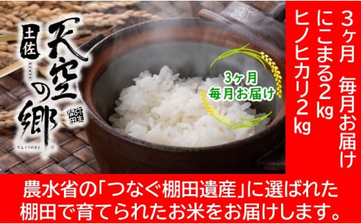 農林水産省の「つなぐ棚田遺産」に選ばれた棚田で育てられた 棚田米土佐天空の郷　2kg食べくらべセット定期便  毎月お届け 全3回