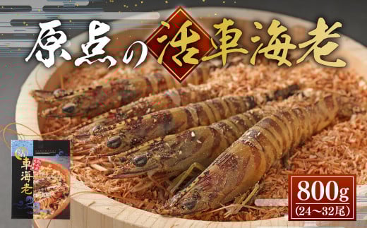 【配送日指定品】原点の車海老 800g （24～32尾） 活き車海老 生えび 海老 エビ えび 車エビ 車海老 活きたまま 熊本県 上天草市【2024年11月18日から2025年2月28日発送予定】