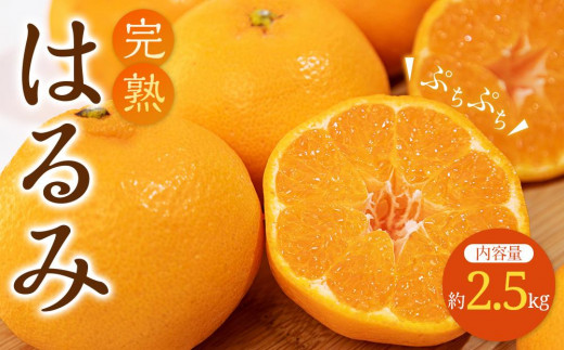 完熟 はるみ 約2.5kg【2026-2月下旬～2026-3月下旬配送】