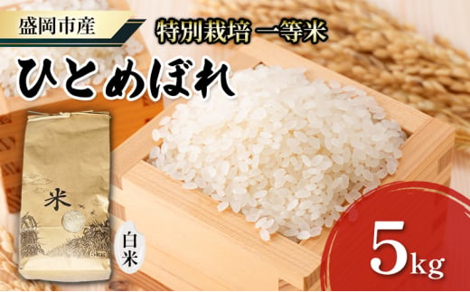 盛岡 大櫻農園  「ひとめぼれ　白米」5kg 特別栽培 一等米 2024年産新米 1500021 - 岩手県盛岡市