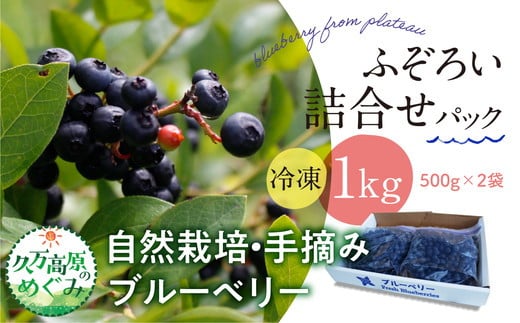 農園直送 不揃い手摘み 冷凍 ブルーベリー 500g×2袋 計1kg 使い方いろいろ ※離島への配送不可 1497196 - 愛媛県久万高原町