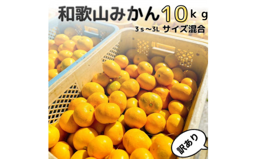 【訳あり】和歌山みかん 約9.5kg+補償分約500g サイズ混合 11月より順次発送 訳ありみかん 【red1】 1497073 - 和歌山県九度山町