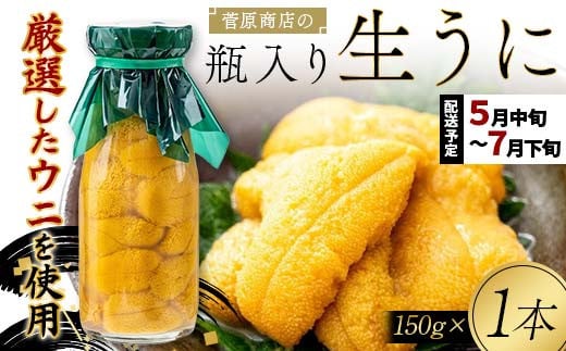 ≪2025年先行予約≫ 菅原商店の生うに150g 1本 【令和7年5月中旬～7月下旬配送予定】【配送日指定不可】【沖縄・離島配送不可】三陸山田 山田町 牛乳瓶 海産品 無添加 ミョウバン不使用 雲丹 海栗 YD-712 239534 - 岩手県山田町