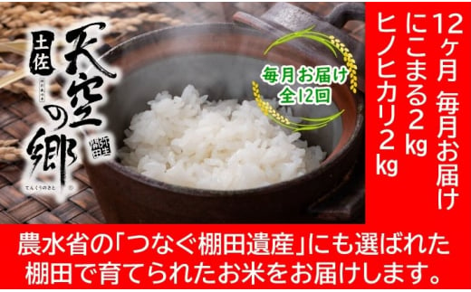 農林水産省の「つなぐ棚田遺産」に選ばれた棚田で育てられた 棚田米 土佐天空の郷　2kg食べくらべセット定期便 毎月お届け 全12回