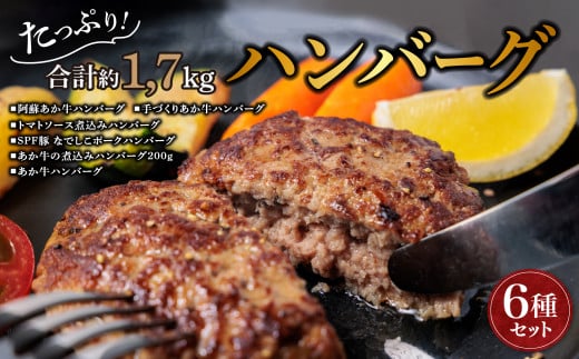 レビューキャンペーン対象返礼品★希少なお肉を使用した贅沢ハンバーグ! "ハンバーグ セットver.2" 6種 合計14個をセットにしました!国産和牛と国産豚肉を使用したうま味たっぷりハンバーグ! 熊本ブランド和牛 あか牛 赤牛 なでしこポーク 食べ比べ 冷凍 お取り寄せ 詰め合わせ 豪華 おうちごはん ディナー 簡単 焼くだけ おかず 人気 お祝い ご褒美 レトルト 洋食 ギフト 熊本県 阿蘇市