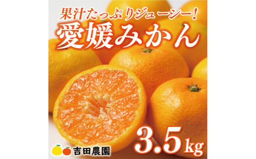 先行予約 愛媛みかん 3.5kg 8000円 愛媛 みかん 温州みかん こたつ みかん mikan 蜜柑 ミカン 家庭用 贈答用 ギフト プレゼント お歳暮 産地直送 国産 農家直送 糖度 期間限定 数量限定 特産品 ゼリー ジュース アイス 人気 限定 甘い フルーツ 果物 柑橘 先行 事前 予約 受付 ビタミン 美味しい おいしい 愛南町 愛媛県 吉田農園