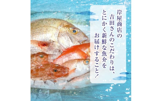 3ヶ月定期便】三陸海の恵み 詰め合わせ 【下処理可】(1回あたりのお届け目安：1～2人用)【 鮮魚セット 鮮魚 三陸産 海鮮 新鮮 お刺身 産地直送  おさかな お魚 旬 人気 お手軽 】 - 岩手県陸前高田市｜ふるさとチョイス - ふるさと納税サイト