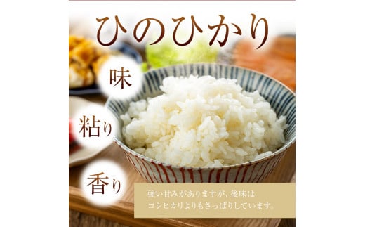 新米出荷中！ 宮崎県産 ひのひかり 10ｋg or 15ｋg 令和6年産 | お米 米 宮崎米 ブランド こめ 白米 九州 宮崎県 五ヶ瀬町 新米  高レビュー 選べる 10kg 15kg 送料無料 白米 小分け 人気 高評価 - 宮崎県五ヶ瀬町｜ふるさとチョイス - ふるさと納税サイト