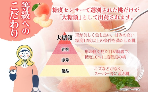 山梨県笛吹市のふるさと納税 ＜25年発送先行予約＞桃 秀品 1.5kg 大糖領 糖度12％以上※クール便配送 177-001 ｜もも 桃  大糖領 発送 山梨 笛吹市 糖度センサー 高糖度 化粧箱 希少 希少品種 桃 ピーチ 果物 フルーツ 新鮮 旬 発送 秀品 1.5kg 国産 モモ 笛吹市 桃 高級 もも 山梨県笛吹市 果物 ピーチ 2025年発送 高級品種 モモ 先行 贈答用 贈答 ギフト｜