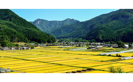 群馬県川場村のふるさと納税 川場スキー場 24-25シーズンのリフト 1日券 (大人3枚)【1255544】